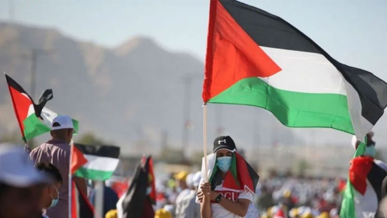 ফিলিস্তিনের পতাকা হাতে তরুণী