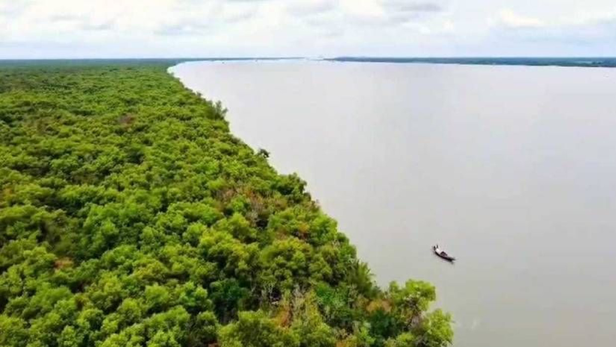 পূর্ব সুন্দরবনের কচিখালী ডিমেরচর এলাকা