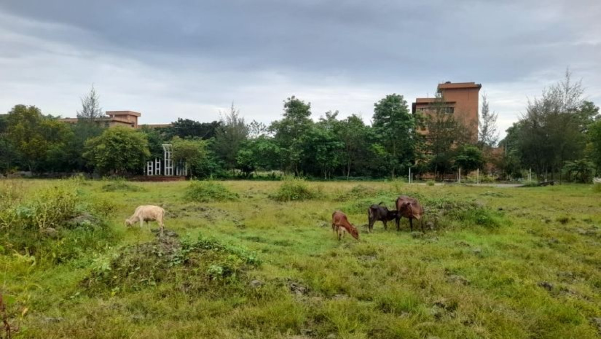 বরিশাল বিশ্ববিদ্যালয় খেলার মাঠ