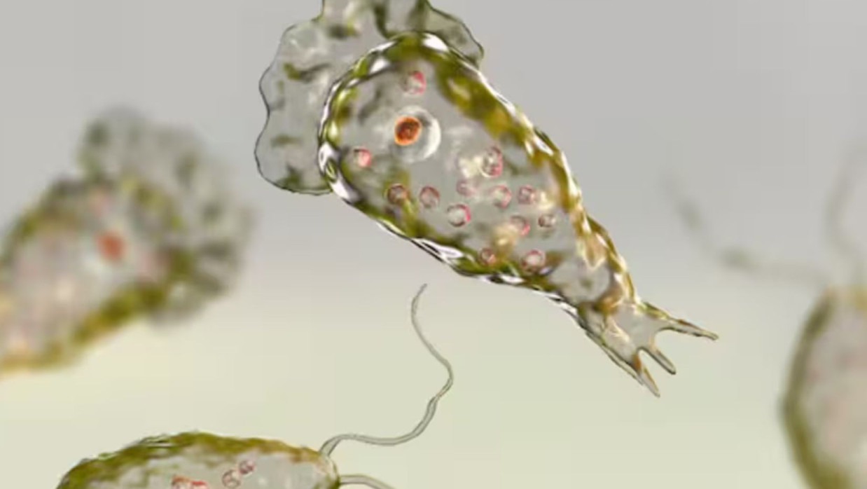 প্রতীকী ছবি 