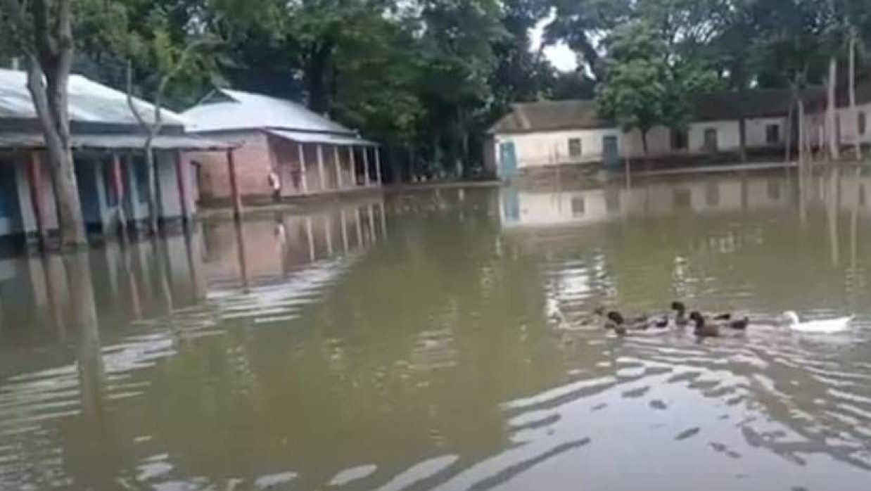বিদ্যালয়ের মাঠে জমা থাকা পানিতে হাঁসের দল