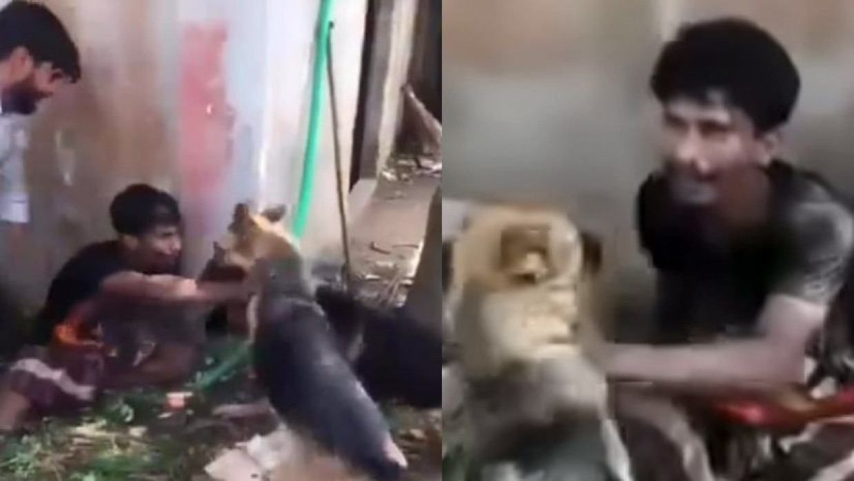 ভিডিও থেকে নেওয়া 