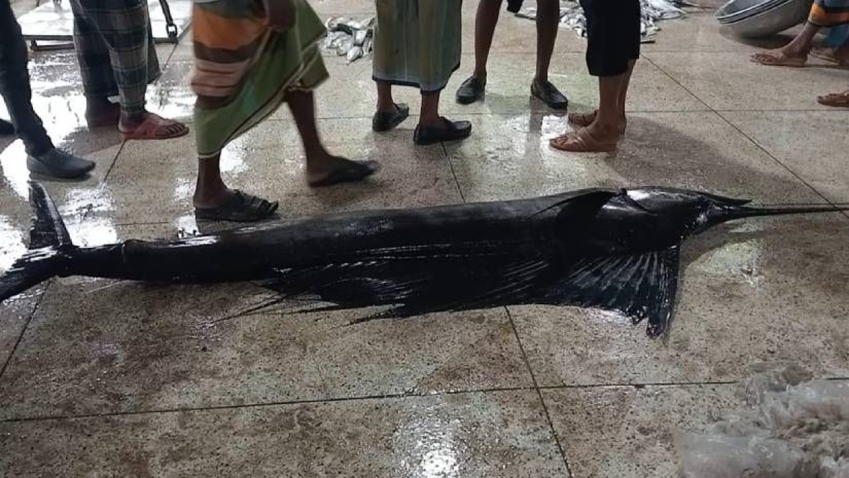 জেলেদের জালে ধরা পড়া বিশালাকৃতির পাখি মাছ