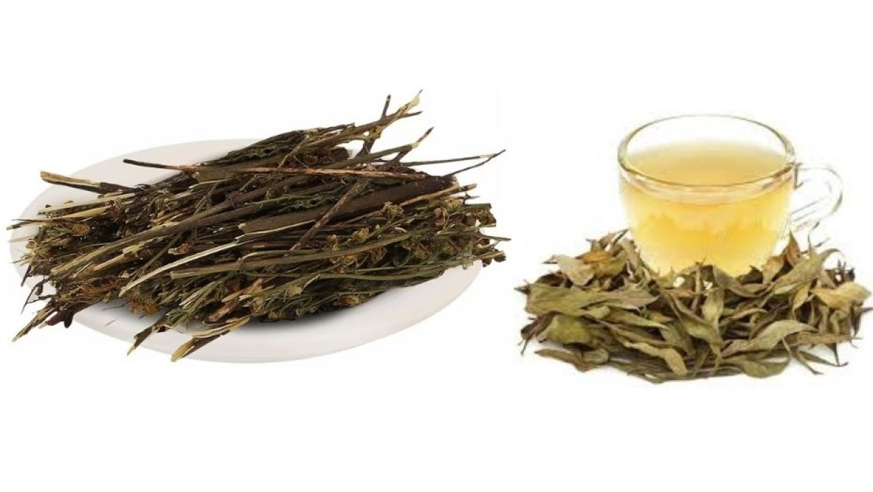 চিরতার পানি 