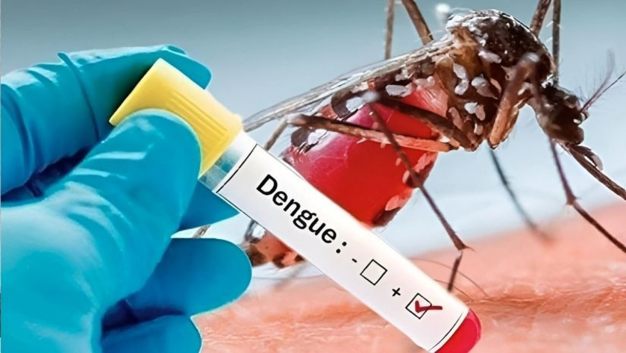 প্রতীকী ছবি