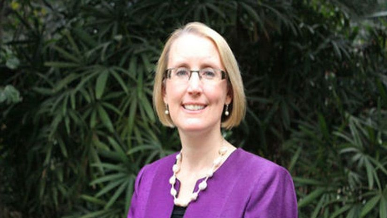 ব্রিটিশ হাইকমিশনার সারাহ কুক