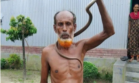 সাপের কামড়ে প্রাণ গেলো ওঝার