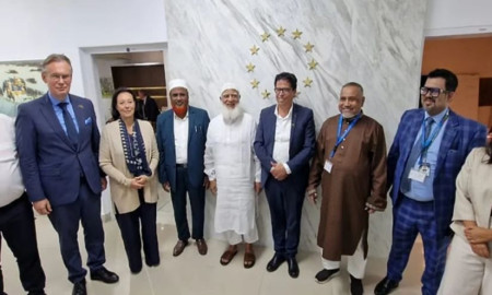 পিআর পদ্ধতিতে নির্বাচন: ইউ পার্লামেন্টের প্রতিনিধিদলকে জানাল জামায়াত