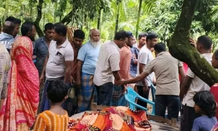 পার্বতীপুরে ট্রাক্টরের ধাক্কায় ভ্যানচালক নিহত, স্ত্রী আহত