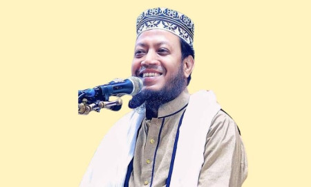 আমির হামজার বক্তব্য মিথ্যা, প্রকাশ্যে ক্ষমা চাইতে বলল ছাত্রদল