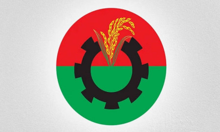 ভারতীয় মিডিয়াকে এমন কথা বলেননি মির্জা ফখরুল: বিএনপি