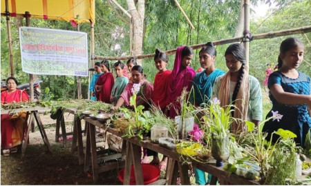 সাতক্ষীরার শ্যামনগরে জলজ উদ্ভিদবৈচিত্র্যের মেলা