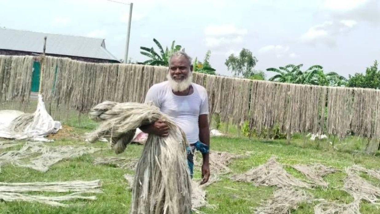 পাট শুকাচ্ছেন এক কৃষক