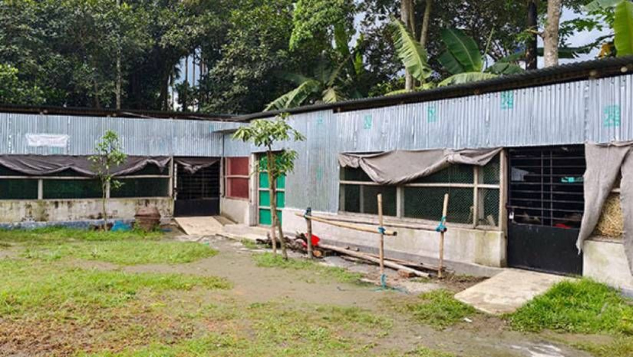 আবদিয়া এগ্রো খামার