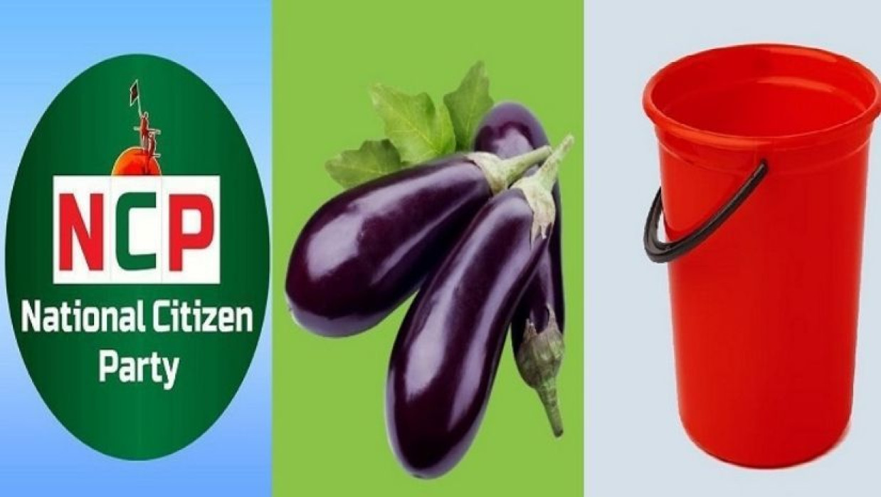 এনসিপিকে বেগুন, বালতি, লাউ, চিংড়ি, থালা-বাটি ইত্যাদি ৫০টি প্রতীক থেকে নিজেদের মার্কা বাছাই করতে বলল নির্বাচন কমিশন (ইসি)