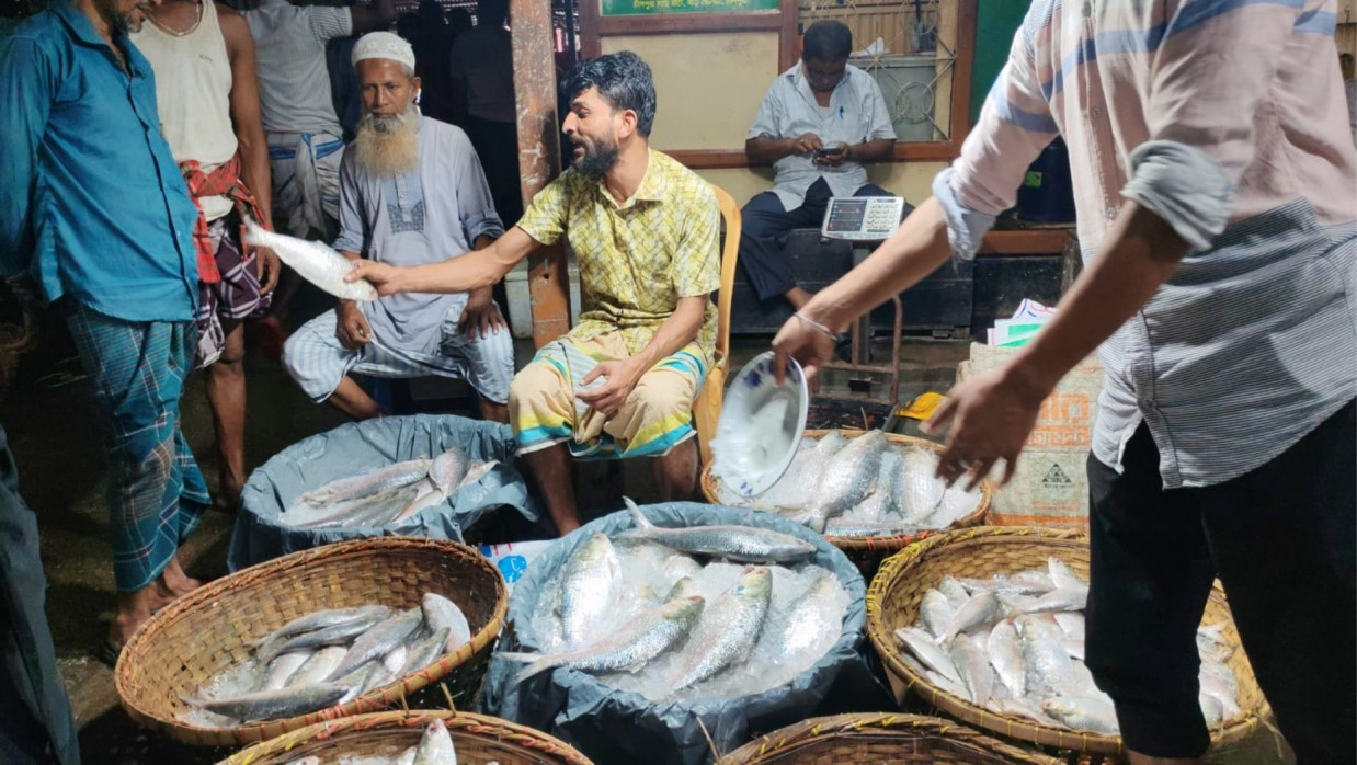 চাঁদপুরে মৎস্য আড়তে চলছে ইলিশের দরদাম