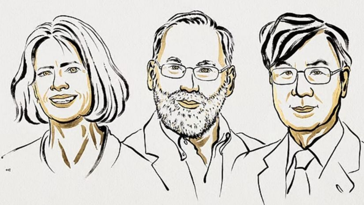 চিকিৎসা বিজ্ঞানে চলতি বছর নোবেল পুরষ্কার পেয়েছেন মেরি ই. ব্রাঙ্কো, ফ্রেড র‍্যামসডেল ও শিমন সাকাগুচি