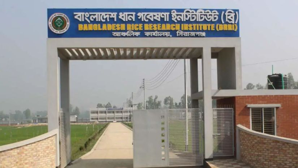 ২৭ ক্যাটাগরির পদে ৪৯ কর্মকর্তা-কর্মচারী নিয়োগ দেবে বিআরআরআই