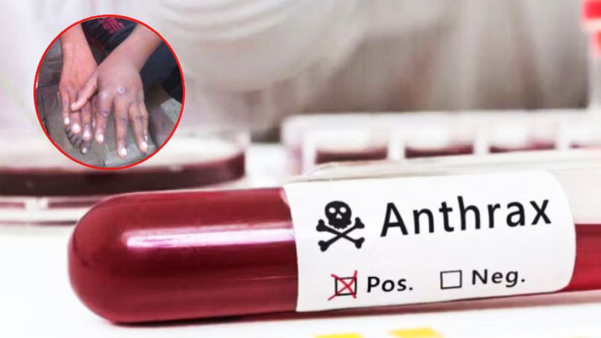 প্রতীকী ছবি