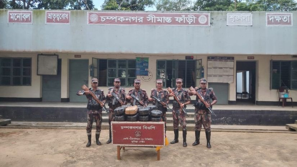 ভারতীয় মাদকদ্রব্য জব্দ করেছে বিজিবি