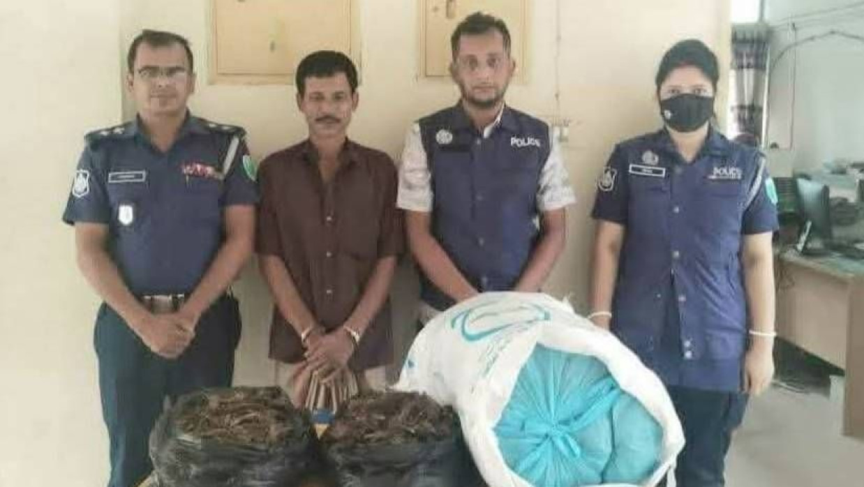 গাঁজাসহ আটক মাদক কারবারি