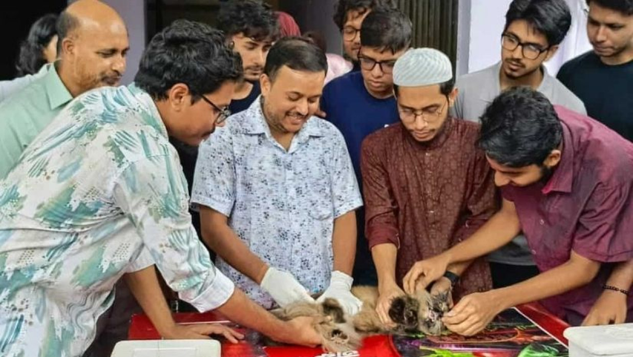 বিনামূল্যে জলাতঙ্কের টিকা প্রদান 