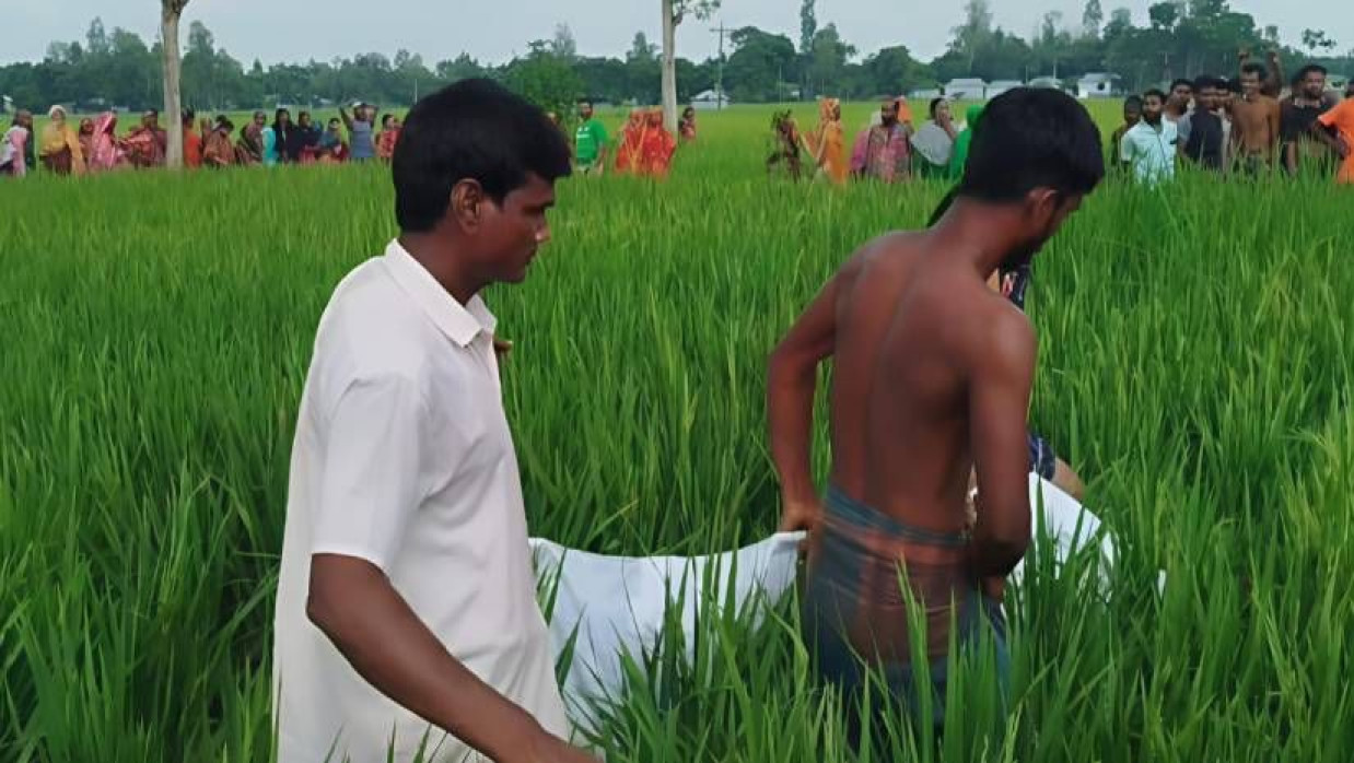 ধানক্ষেত থেকে মরদেহ উদ্ধার করে নেওয়া হচ্ছে