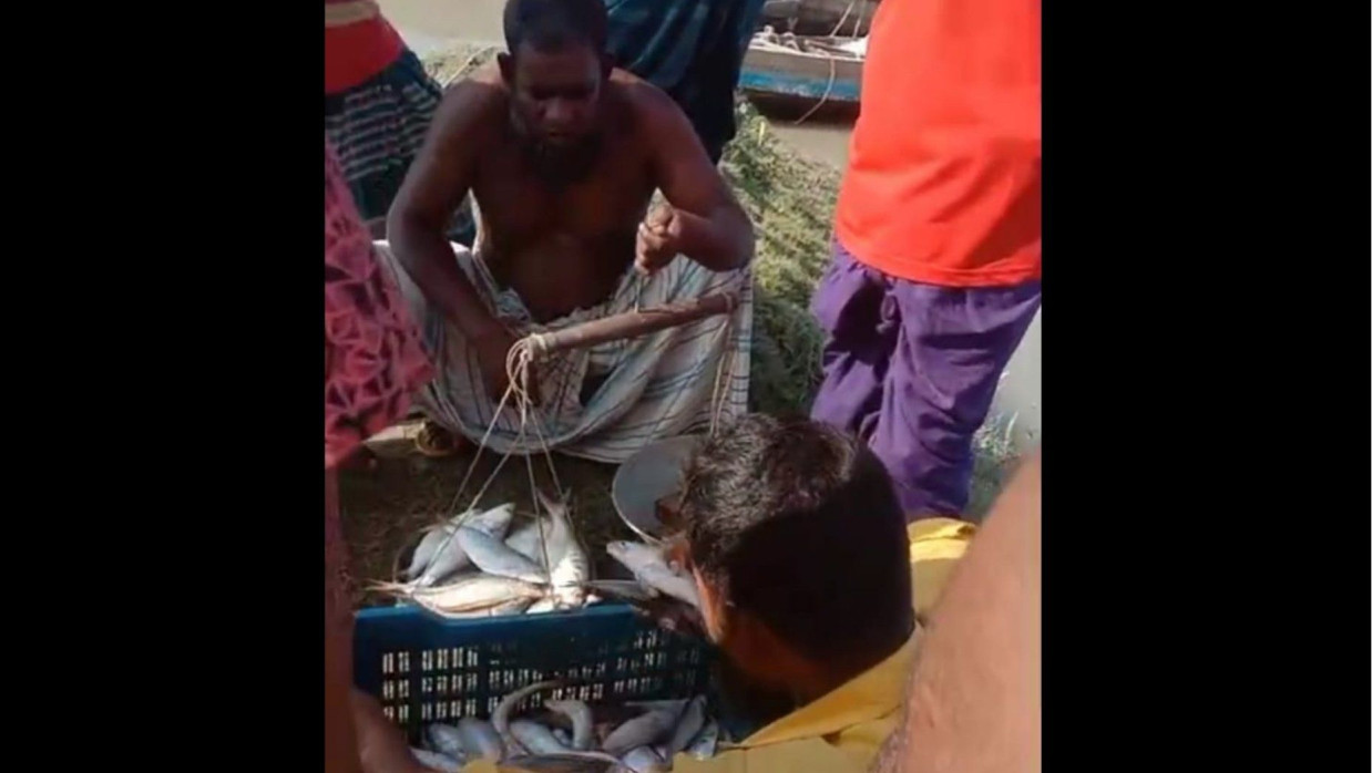 গলাচিপা উপজেলার চরবিশ্বাস ইউনিয়নের নোমরস্লুইজে প্রকাশ্যে চলছে ইলিশ বিক্রি