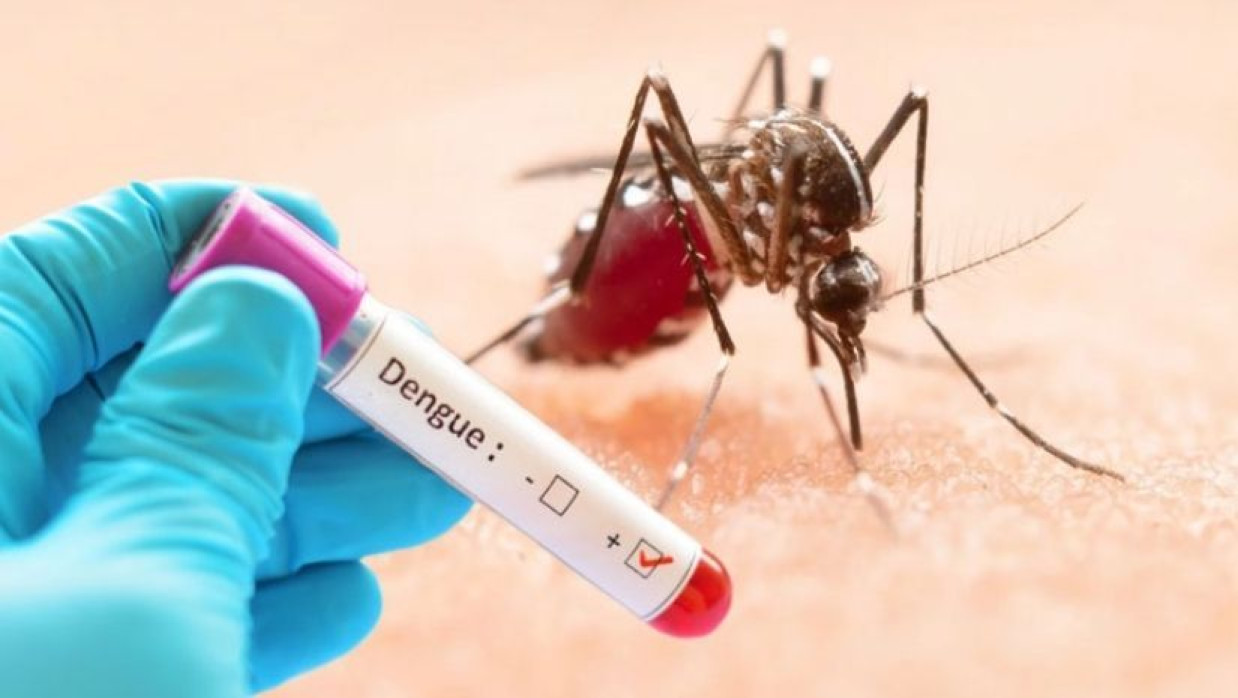 ডেঙ্গু
