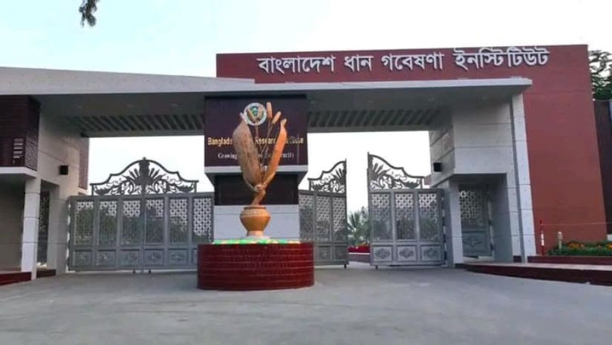 ৫ ক্যাটাগরির পদে ৩২ কর্মকর্তা নিয়োগে আবেদন চলছে বিআরআরআইতে
