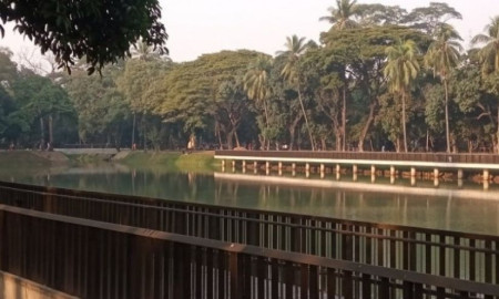 মানসিক ভারসাম্যহীন সাবেক সচিবের ছেলের মৃত্যু