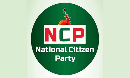 শাপলা-সাদা শাপলা-লাল শাপলার যেকোনো একটি প্রতীক বরাদ্দের আশা এনসিপির