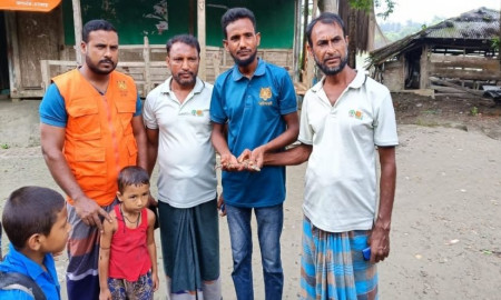 শরণখোলায় লোকালয় থেকে কুমিরের ছানা উদ্ধার