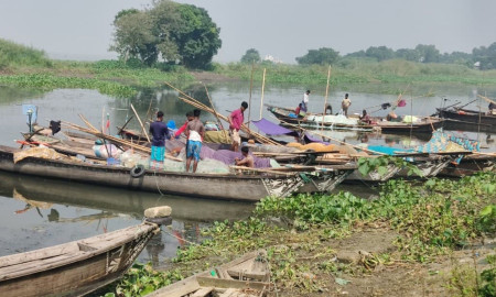 মেঘনায় নিষেধাজ্ঞা ভেঙে ইলিশ ধরার মহোৎসব