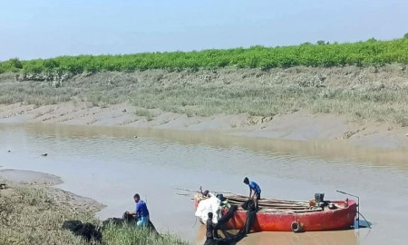 মা ইলিশ সংরক্ষণ অভিযানে ২ কোটি টাকার জাল ধ্বংস