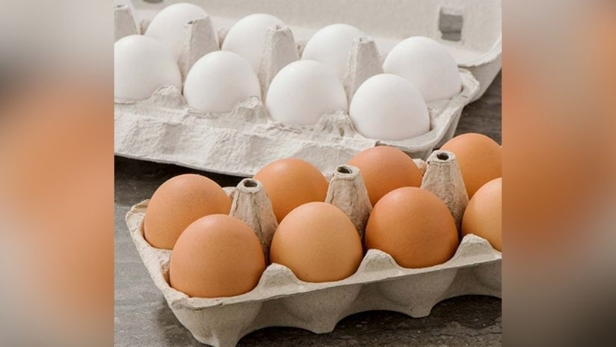 সাদা ও লাল ডিম