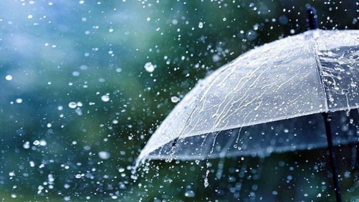 প্রতীকী ছবি