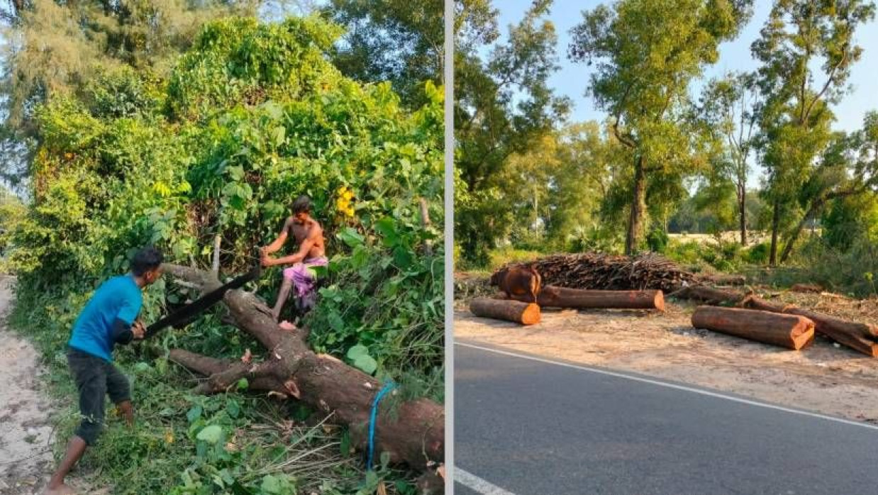 সিইউএফএল সড়কের দুই পাশে শত শত গাছ কেটে ফেলায় ক্ষোভ প্রকাশ করেছেন স্থানীয় ও পরিবেশবাদীরা