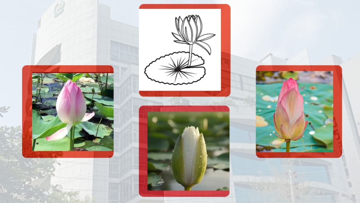 প্রতীকী ছবি