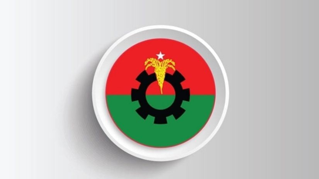 বিএনপির লোগো 