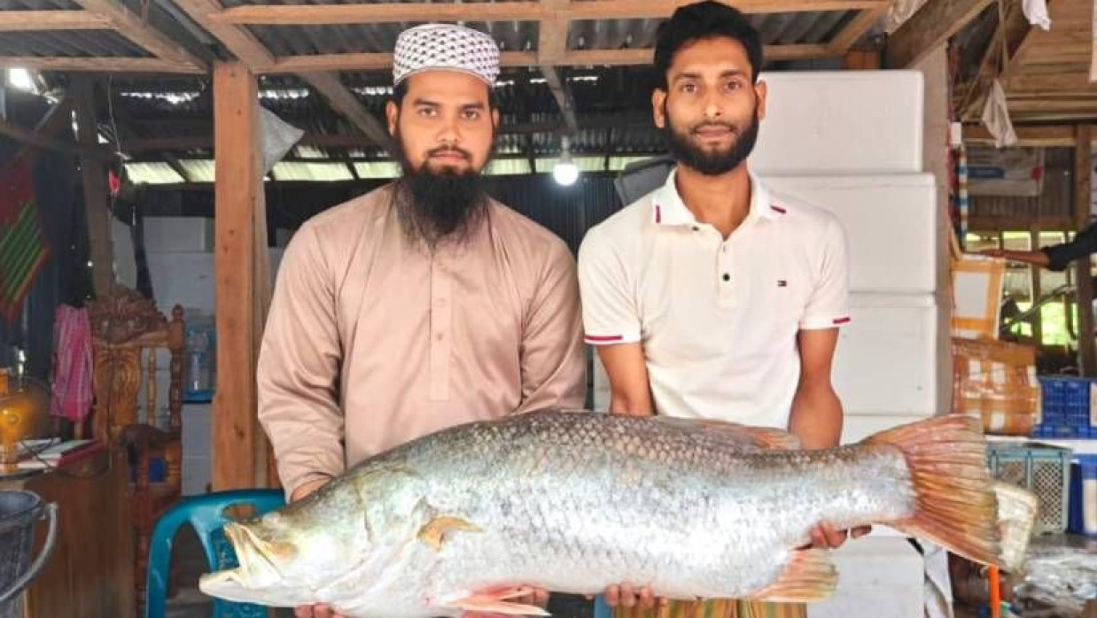 ১৯ কেজি ওজনের এই মাছটি ২৫ হাজার ৬৫০ টাকায় বিক্রি করা হয়