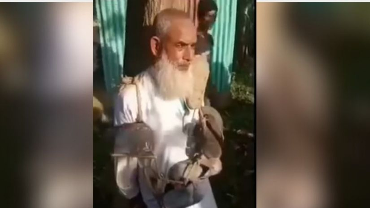 অভিযুক্ত মুক্তিযোদ্ধা 