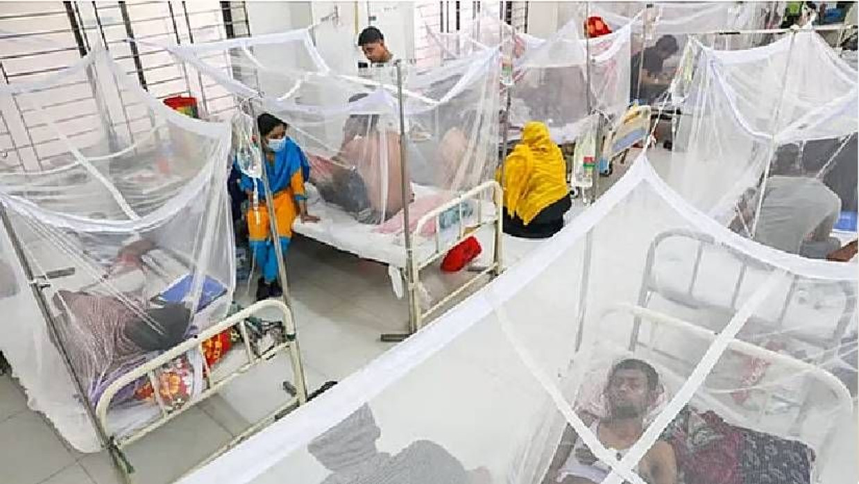 হাসপাতালে ভর্তি ডেঙ্গু রোগীরা