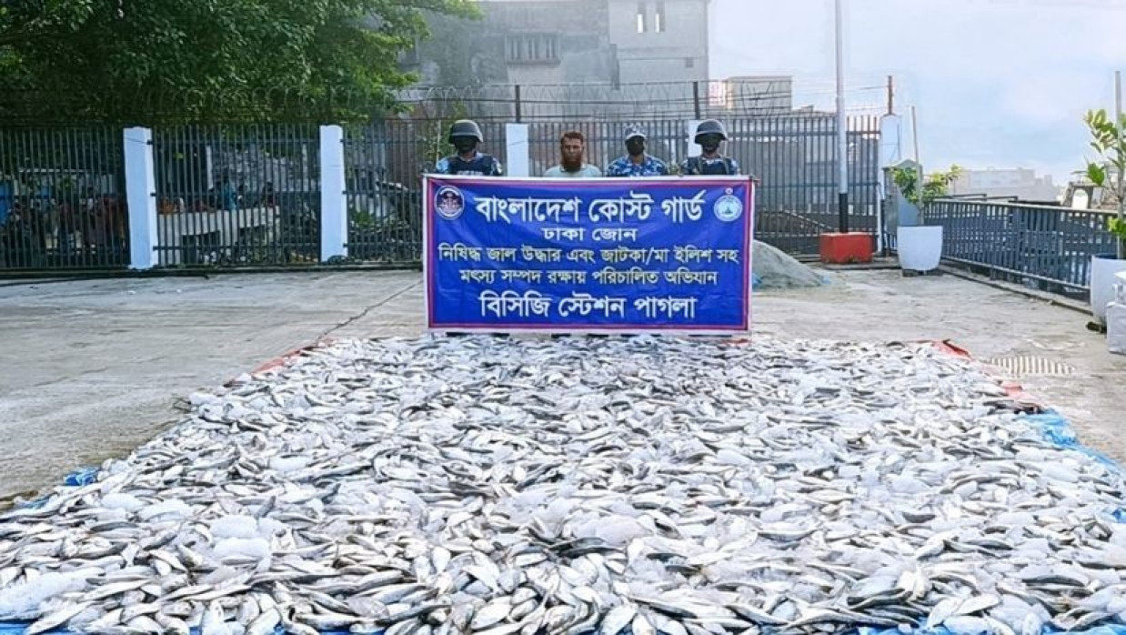 আটককৃত জাটকা