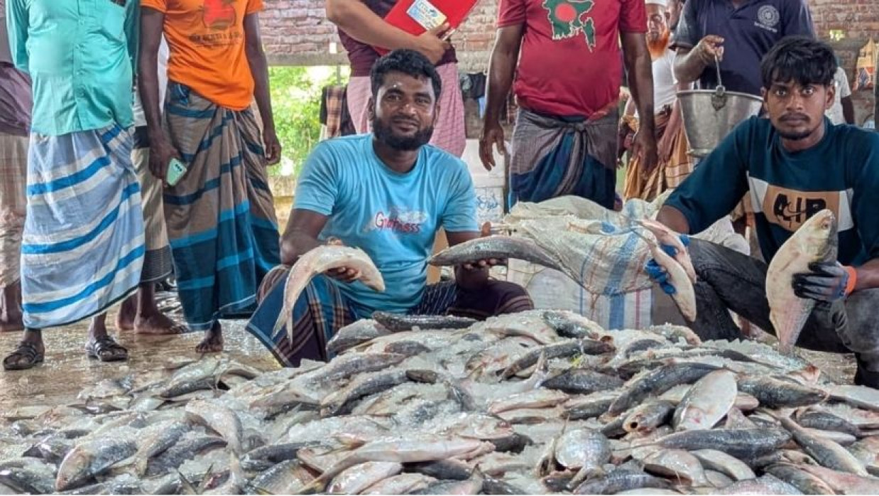 বাজারে বিক্রি হচ্ছে জাটকা ইলিশ