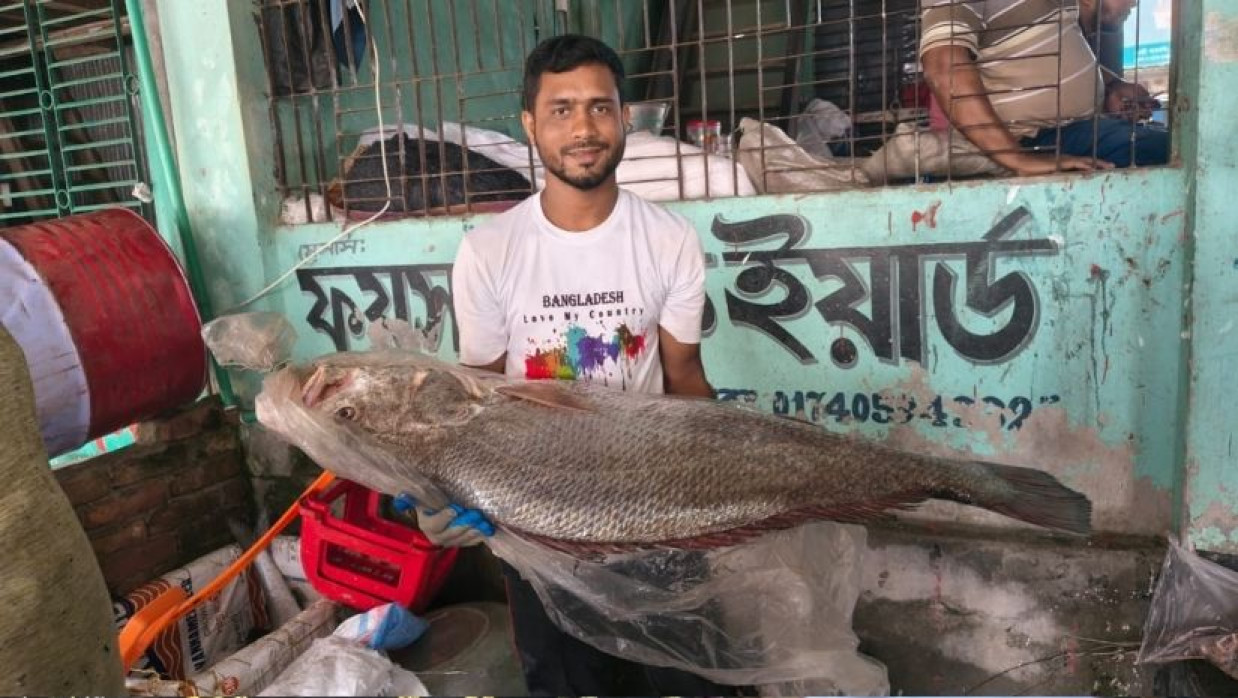 জেলের জালে ধরা কালো পোয়া