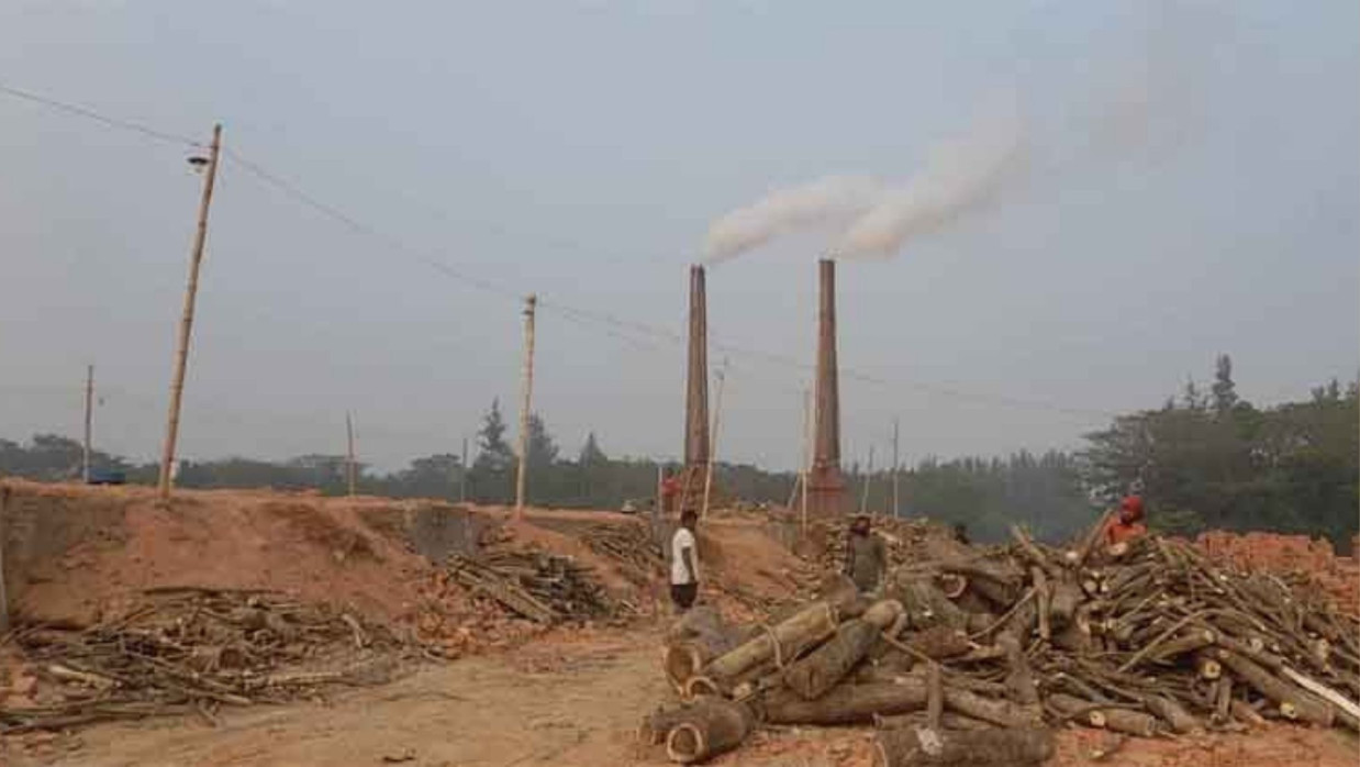 অনুমোদন ছাড়াই দেদারসে চলছে ৬১টি ইটভাটা