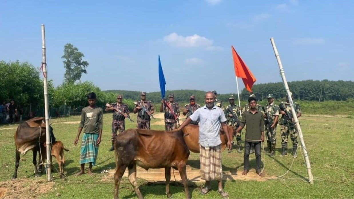 সীমান্তে ঢুকে ৫টি গরু নিয়ে গেল বিএসএফ