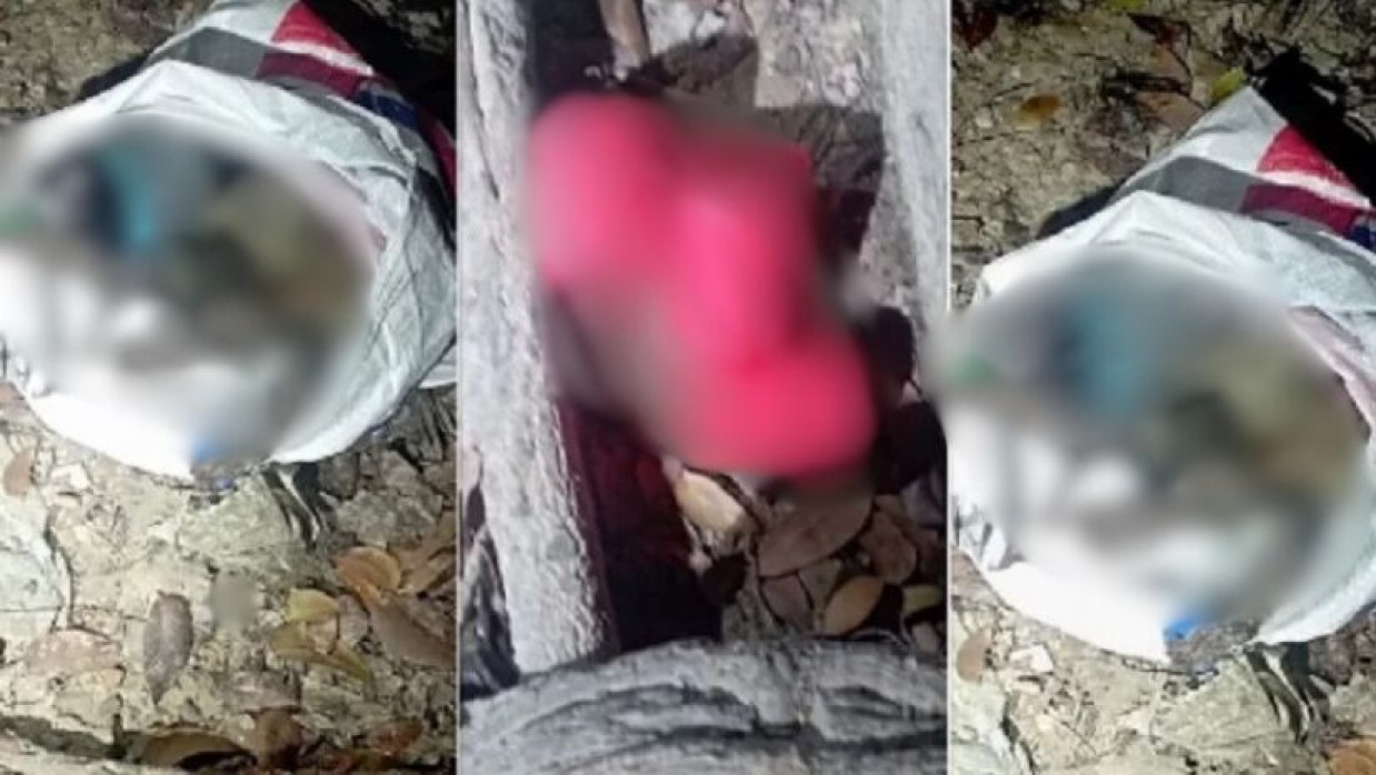 ককটেল- পেট্রোল বোমা উদ্ধার