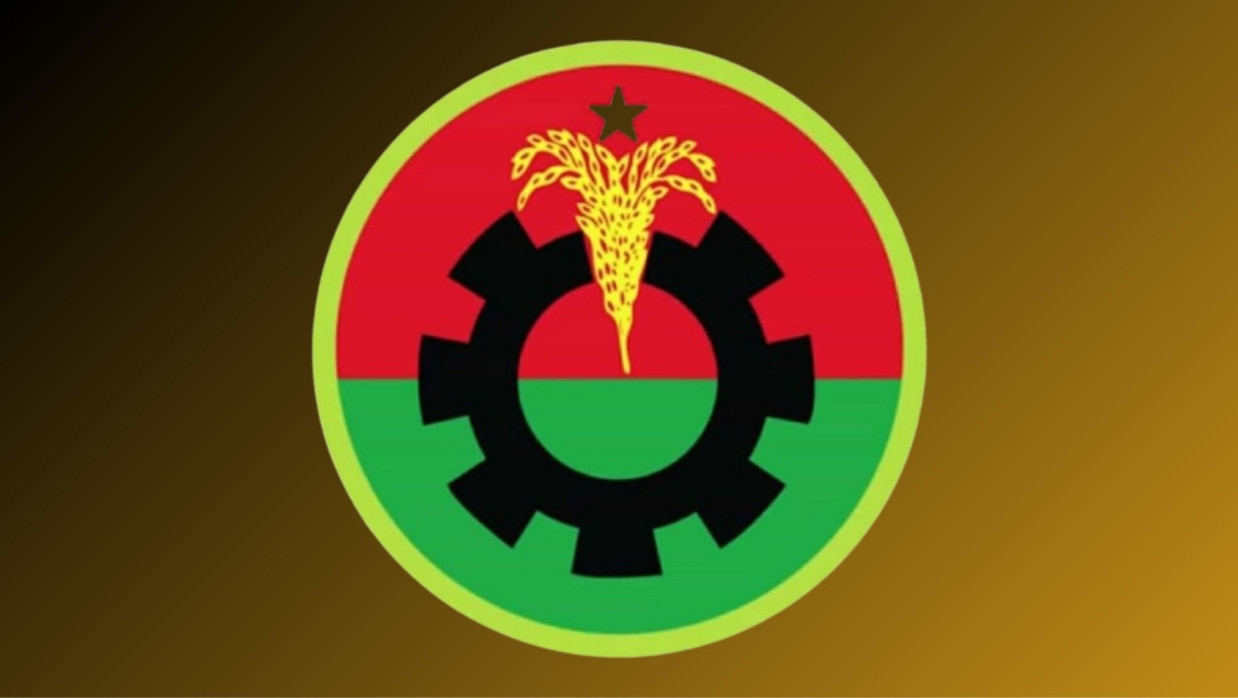 বিএনপির লোগো